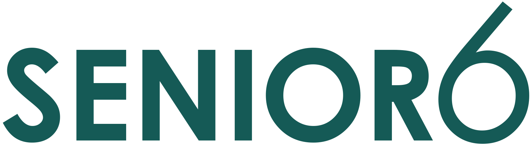 Senior6 logo