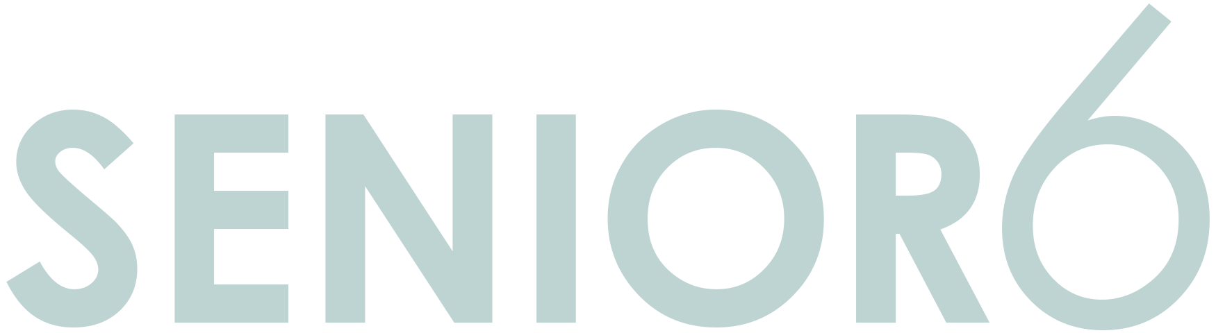 Senior6 logo